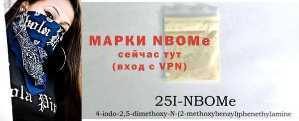 индика Абинск
