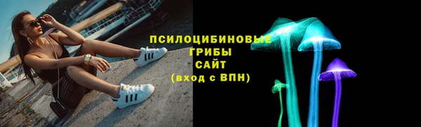 первитин Гусев